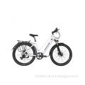 Customized 350w 500w Ebike Cycling Bicycle